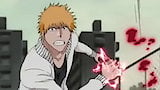 Bleach 355