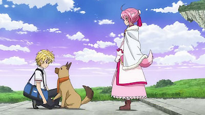 Dog Days Season 1 - watch full episodes streaming online