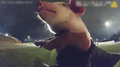 Late Night Lockup Season 2 Episode 2