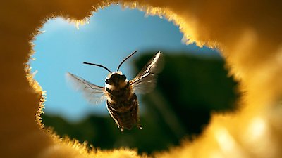 Human Footprint Season 2 Episode 4