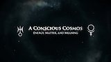 A Conscious Cosmos: Energy, Matter and Meaning