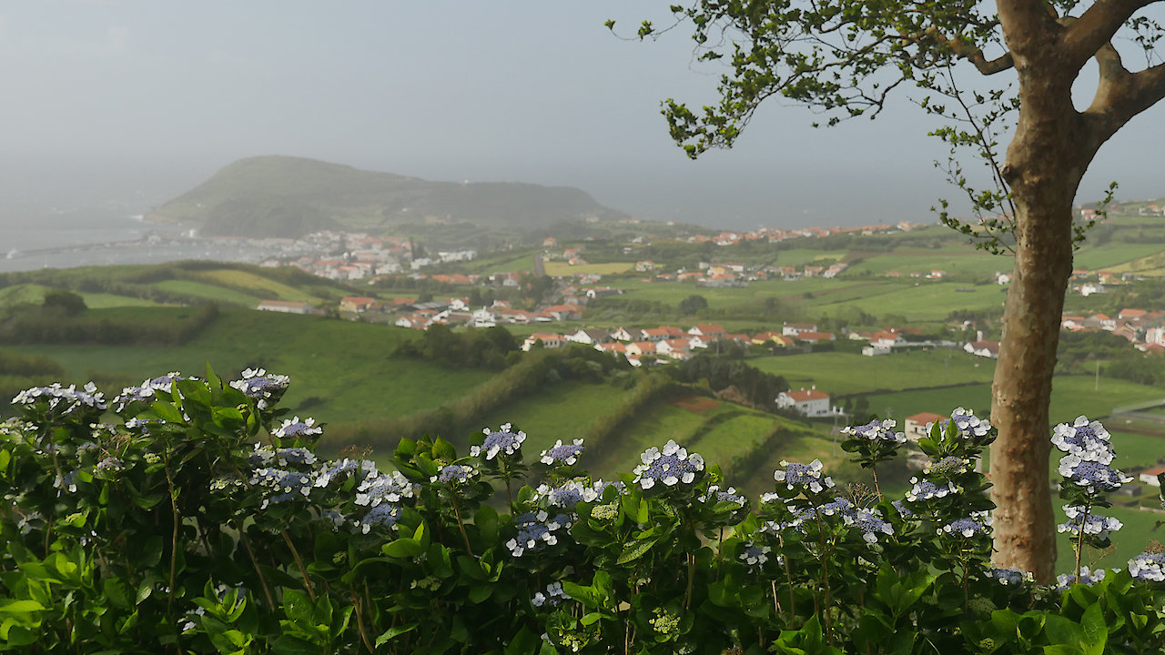 King of Currents: A Gulf Stream Journey