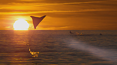 Planet Earth III Season 1 Episode 2