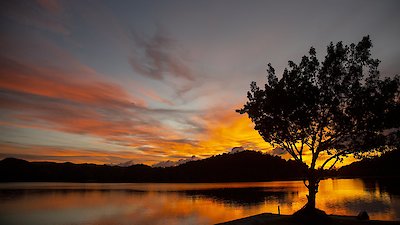 The Island Diaries Season 4 Episode 6