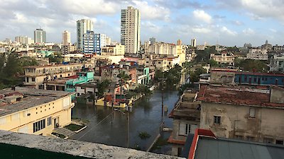 The Island Diaries Season 1 Episode 8