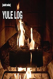 The Adult Swim Yule Log