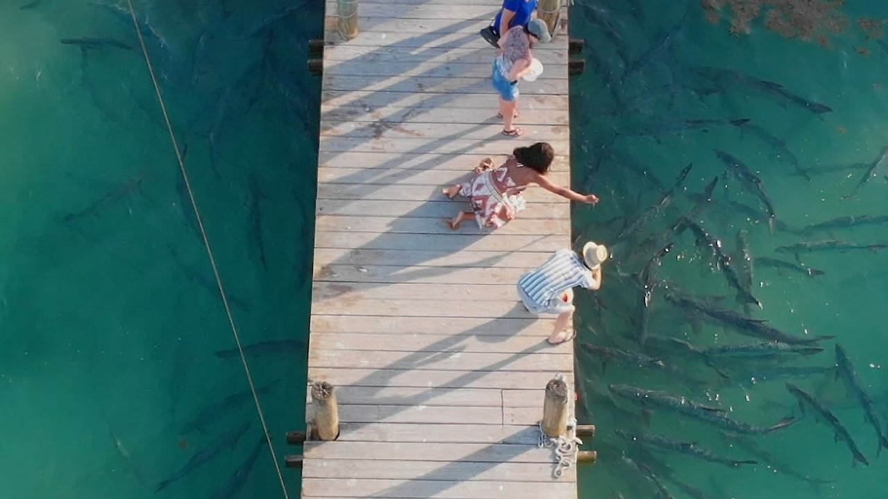 Beachbilly Lifestyle