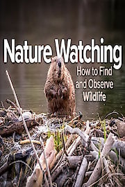 Nature Watching: How to Find and Observe Wildlife