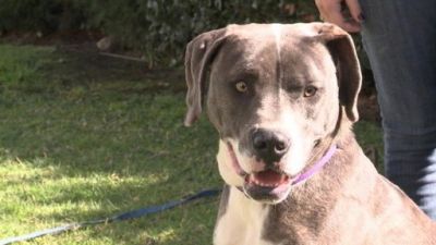 Mommy XXX Season 1 Episode 5