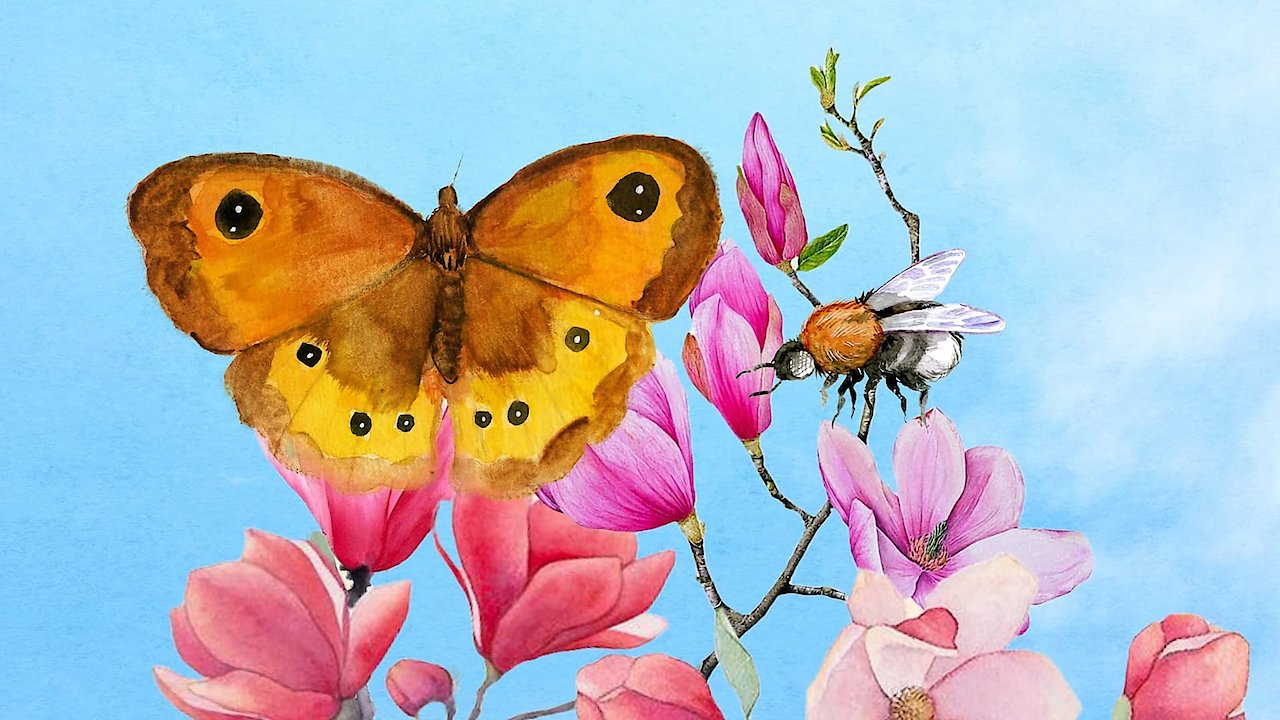 Children of the Sun - Wild Bees & Butterflies