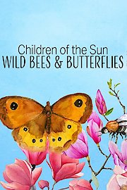 Children of the Sun - Wild Bees & Butterflies