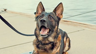 Contraband: Seized at Sea Season 1 Episode 10