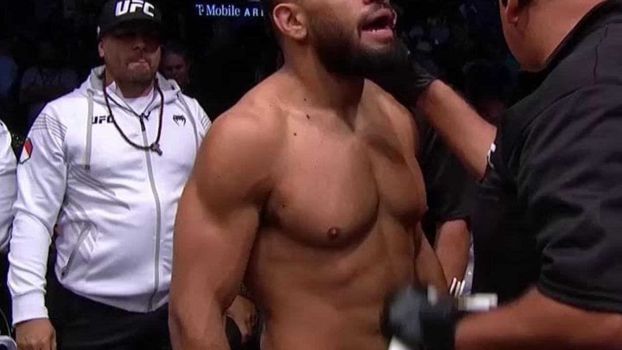 UFC 276: Adesanya vs. Cannonier