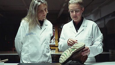 Wrongly Accused Season 1 Episode 8