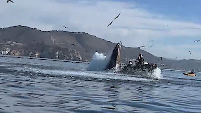 History's Most Shocking Season 1 Episode 3