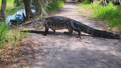 History's Most Shocking Season 1 Episode 1