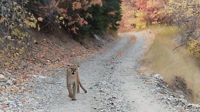 History's Most Shocking Season 1 Episode 5