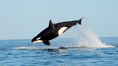 The Americas Season 1 Episode 2