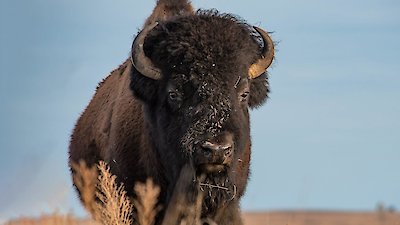 The Americas Season 1 Episode 3