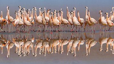 The Americas Season 1 Episode 7