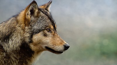 The Americas Season 1 Episode 9