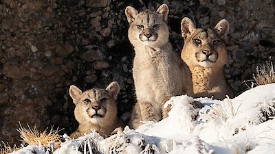 The Americas Season 1 Episode 10