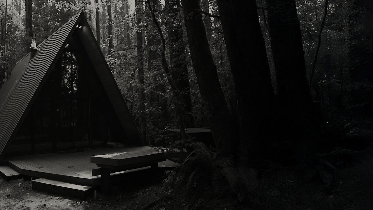 The Man in the House