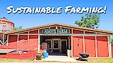 Sustainable Farming at Amy's Farm