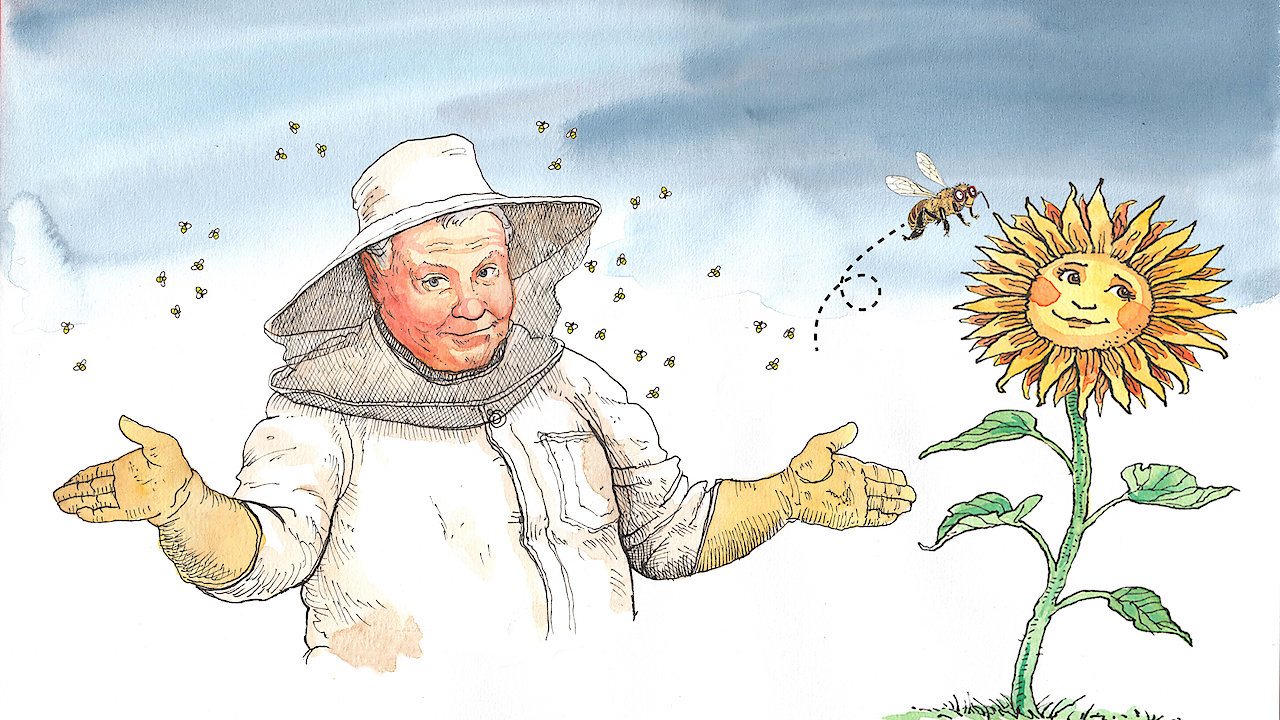 Basics of Beekeeping: The Bush Bee Man
