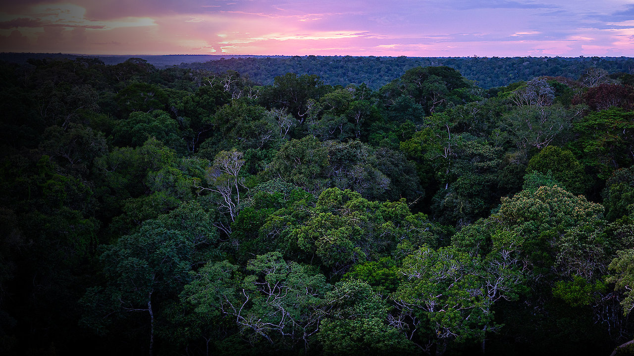 The Future of Nature