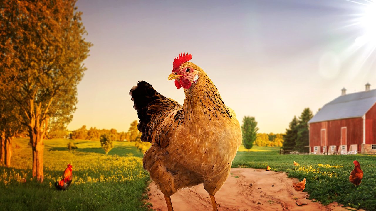 Welcome to My Farm