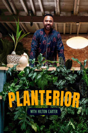Planterior With Hilton Carter