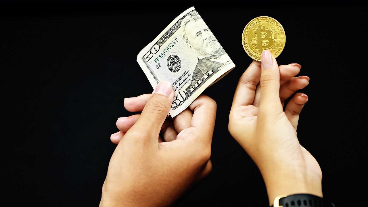 Inside the Cyptokingdom