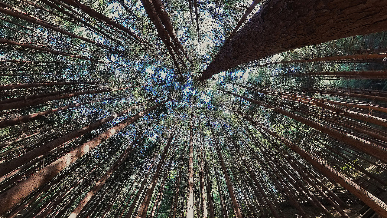 The National Parks of Korea S1