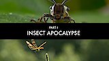 Insect Apocalypse