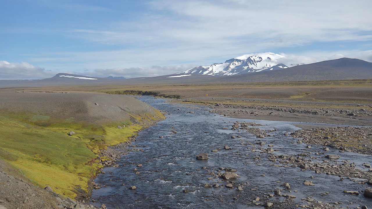 Island of the Future