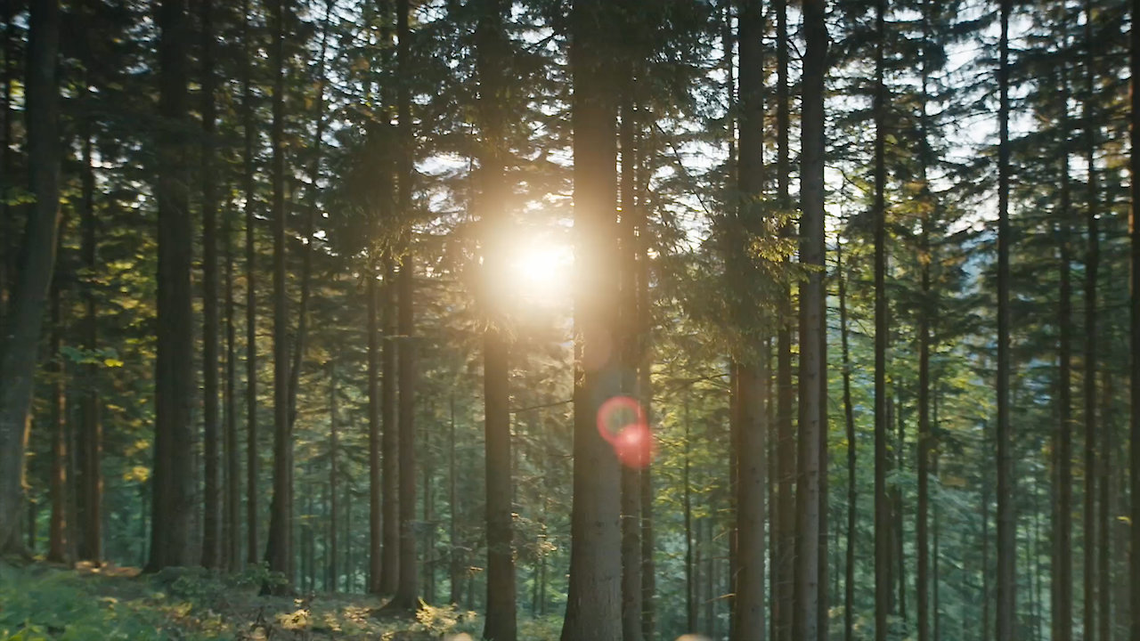 Hike the Line: European Border Trails