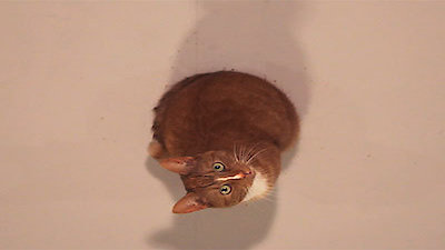 Off the Air Season 1 Episode 9