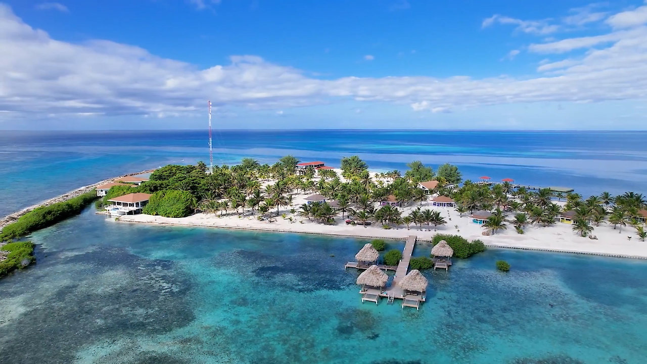 Big Little Footprints