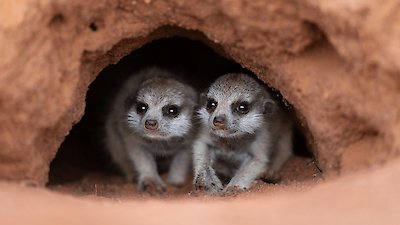 Underdogs Season 1 Episode 2