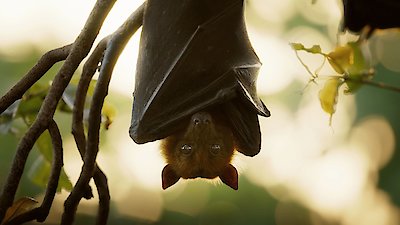 Underdogs Season 1 Episode 3