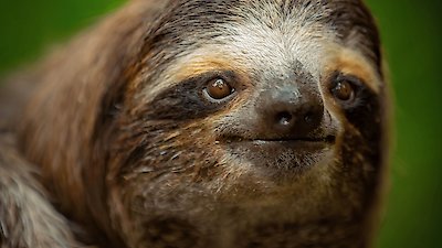 Underdogs Season 1 Episode 5