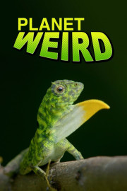 Planet Weird