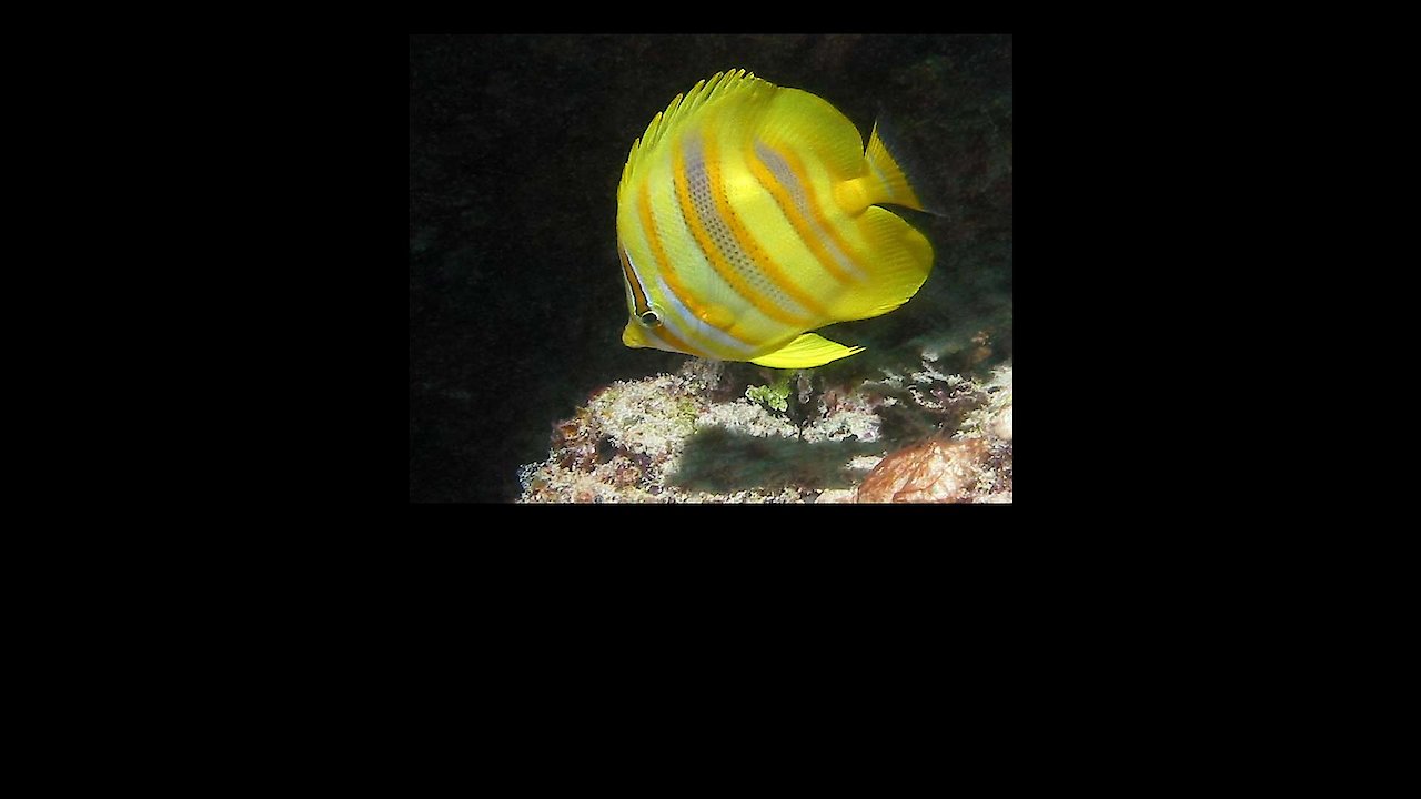 Secrets Of Southern Australia