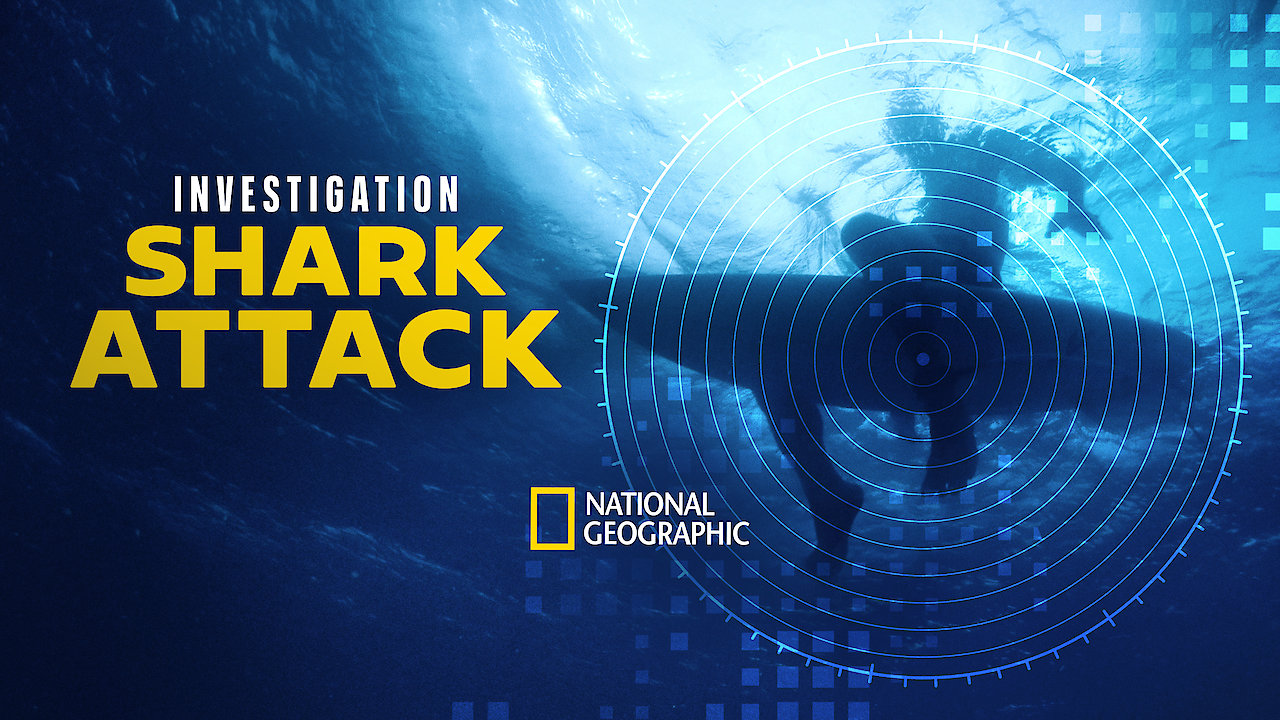 Investigation Shark Attack