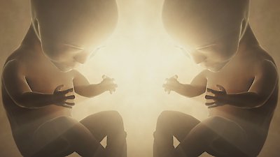 Ancient Aliens: Origins Season 1 Episode 4