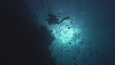 Ancient Aliens: Origins Season 1 Episode 10