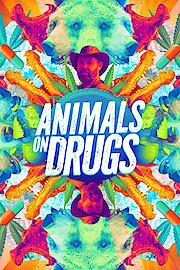 Animals on Drugs