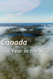 Canada: A Year In The Wild