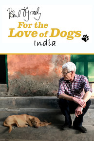 Paul O'Grady: For The Love Of Dogs - India